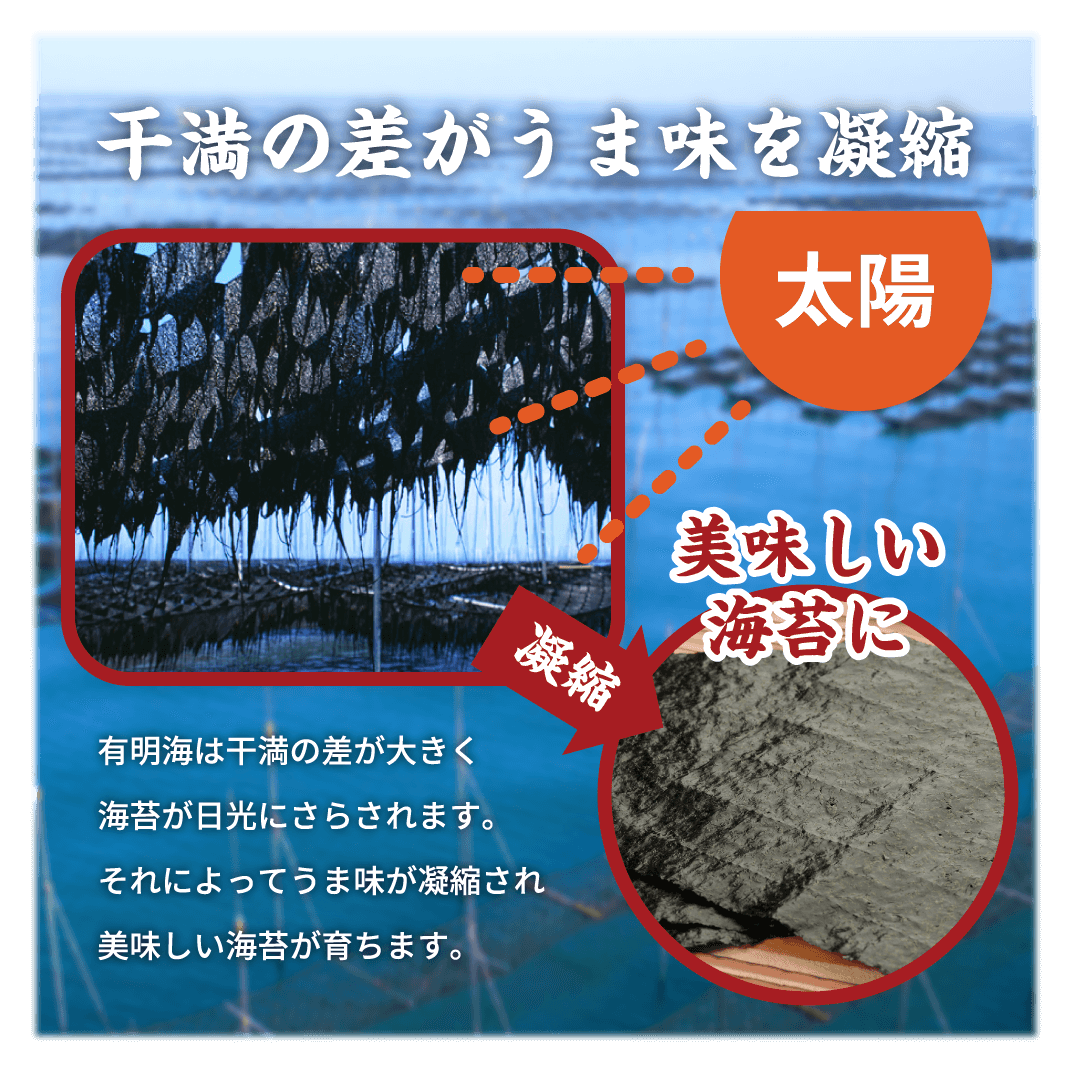 干満の差がうま味を凝縮。有明海は干満の差が大きく海苔が日光にさらされます。それによってうま味が凝縮され美味しい海苔が育ちます。